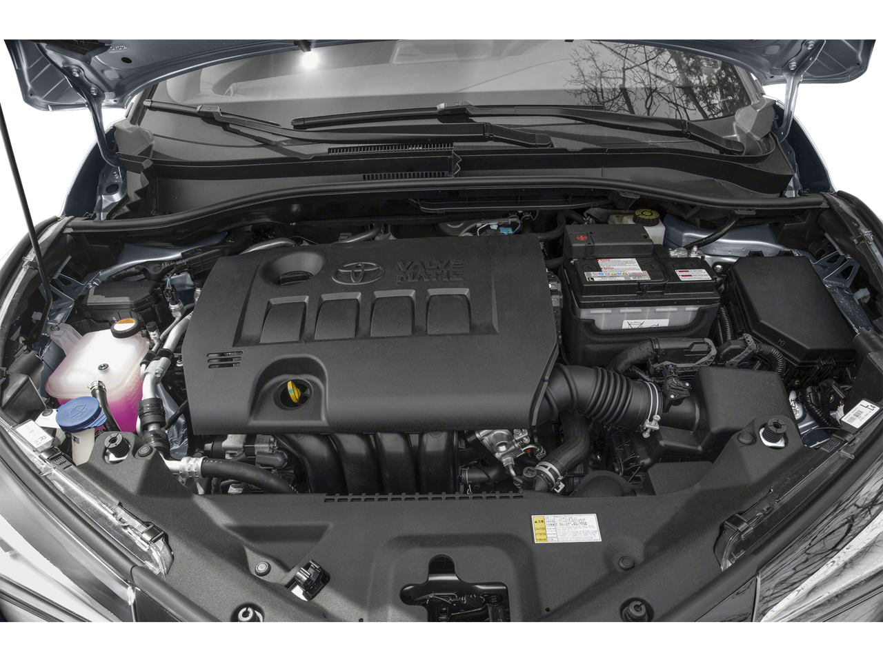 2019 Toyota C-HR Base