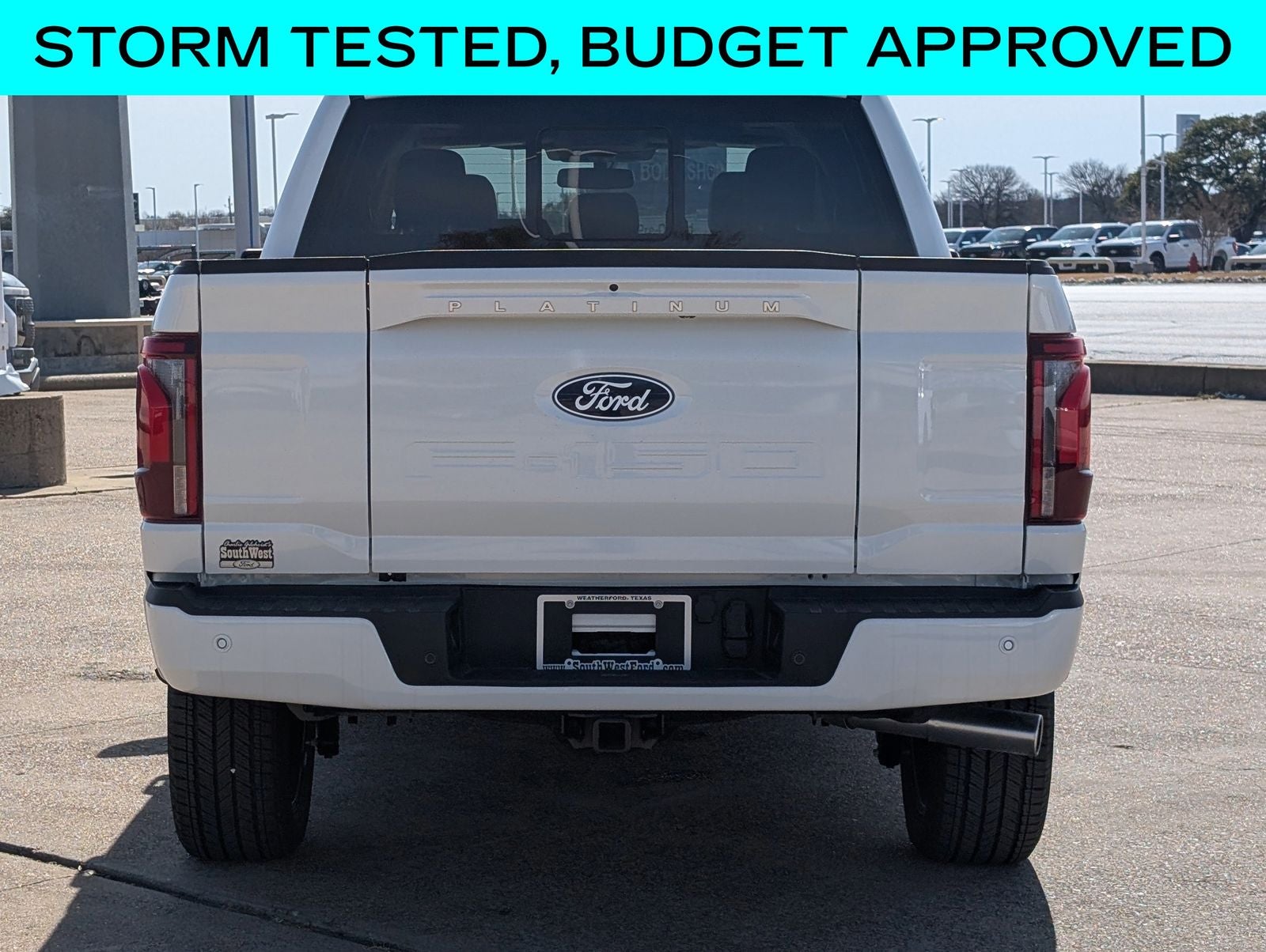 2025 Ford F-150 Platinum