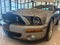 2008 Ford Mustang Shelby GT500