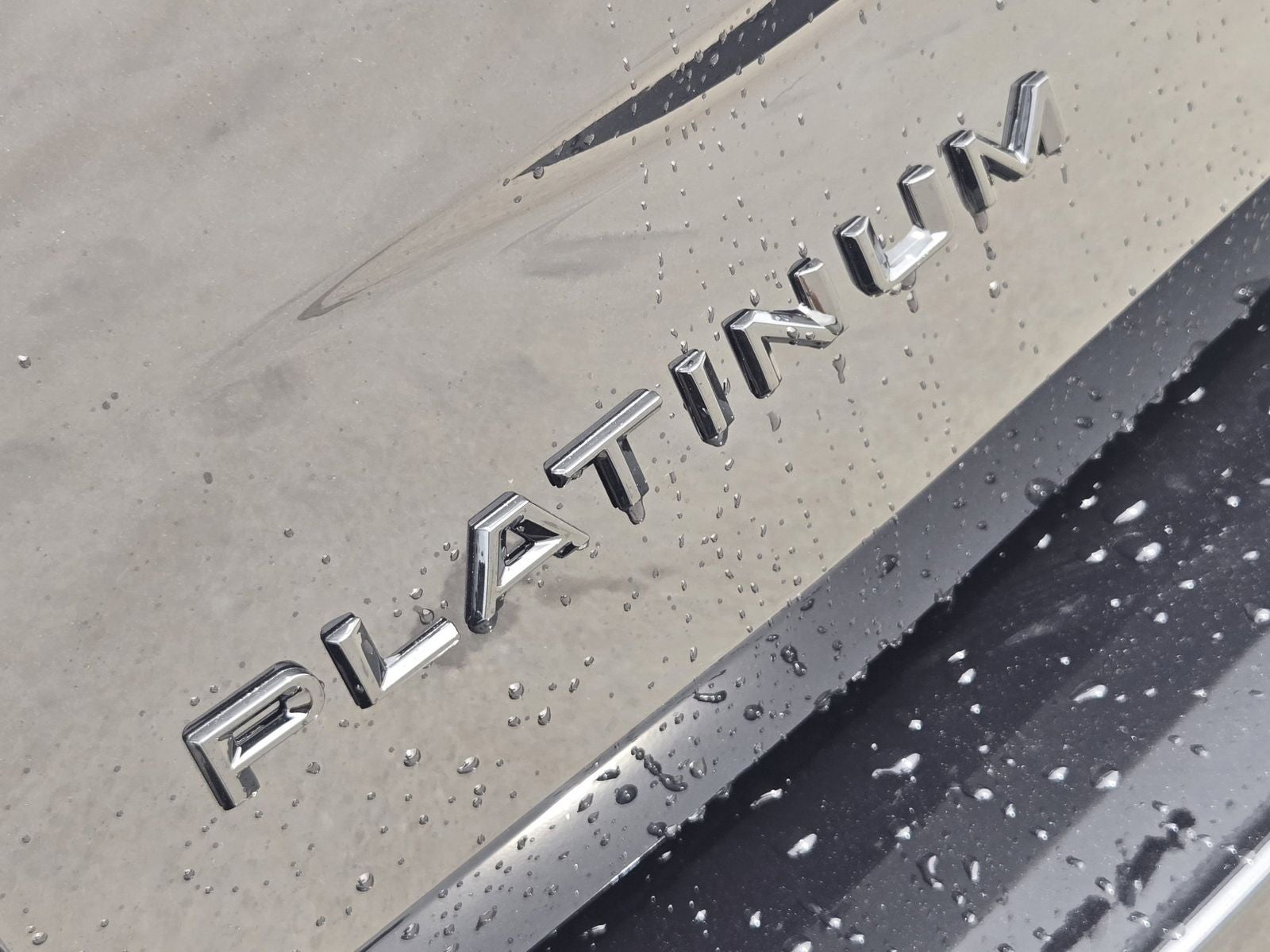 2026 Ford Expedition Platinum
