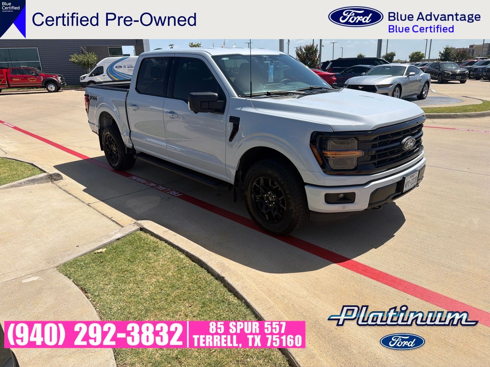 2025 Ford F-150 XLT